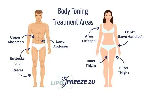 Graphic showing where you can have Body toning Treatment Altrincham on your body
